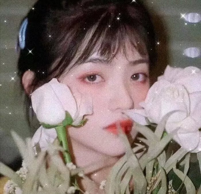 朕的刺客女友